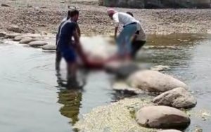 KALA AMB RIVER DEATH